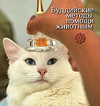 Буддийские методы помощи животным