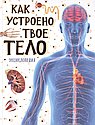 Как устроено наше тело