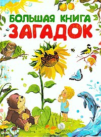 Большая книга загадок