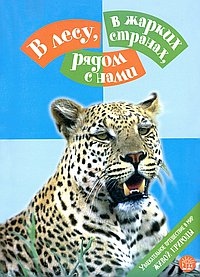 В лесу, в жарких странах, рядом с нами