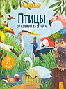 Птицы: от колибри до страуса